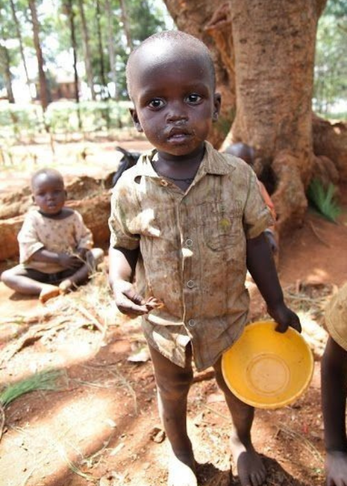 Untitled design - 2026-02-17T151218.797